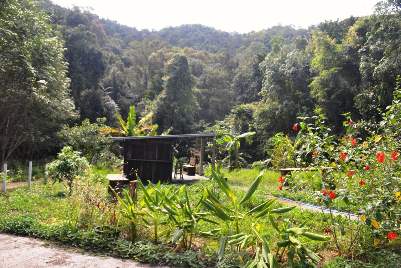 Homebar Koh Chang Ngoại thất bức ảnh